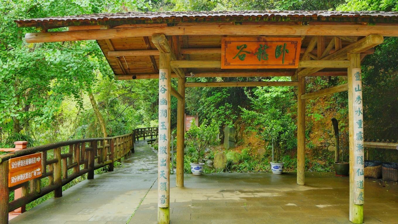 管家婆与老家丫，一段跨越时空的情感故事，管家婆与老家丫，跨越时空的深情纠缠