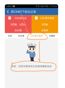 云间玉箭映凤凰，探寻管家婆与数字世界的神秘面纱，揭秘管家婆与数字世界的神秘面纱，云间玉箭映凤凰