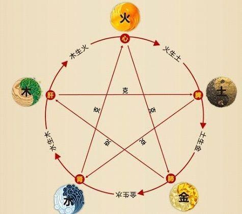 铁算算盘4887最准资料，揭秘精准预测的秘密，揭秘铁算算盘4887精准预测的秘密资料