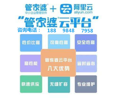 探索数字世界中的神秘面纱，关于云间玉箭与管家婆凤凰网的故事，揭秘数字世界的神秘面纱，云间玉箭与管家婆凤凰网的故事探索